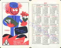1971 0213