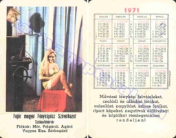 1971 0290