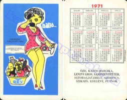 1971 0363
