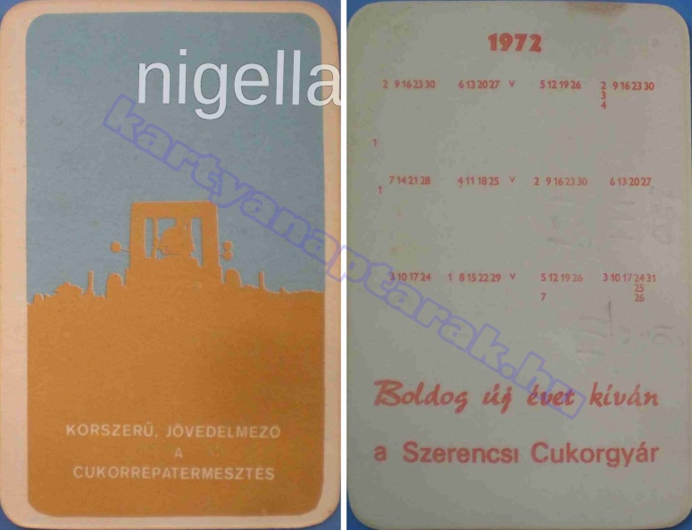 KORSZERŰ JÖVEDELMEZŐ A CUKORRÉPA TERMESZTÉS BUÉK A SZERENCSI CUKORGYÁR 1972_0312.jpg