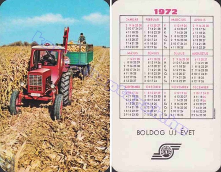 BUÉK AGROTRÖSZT 1972_0338.jpg