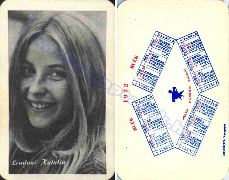 LENDVAI KATALIN MEGYEI MOZIÜZEMI VÁLLALAT 1972_0346.jpg