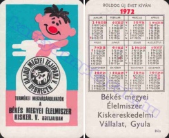 1972 0396