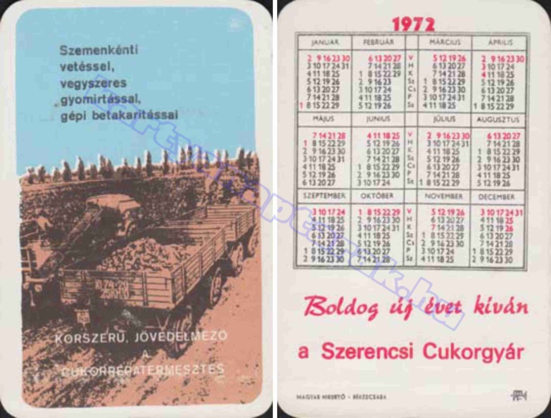 SZEMENKÉNTI VETÉSSEL, VEGYSZERES GYOMÍRTÁSSAL, GÉPI BETAKARÍTÁSSAL KORSZERŰ JÖVEDELMEZŐ A CUKORRÉPA TERMESZTÉS BUÉK A SZERENCSI CUKORGYÁR 1972_0578.jpg