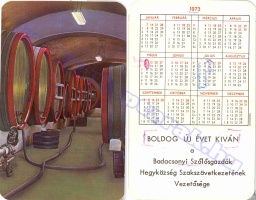1973 0080