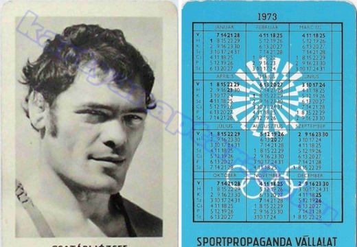 Csatári József