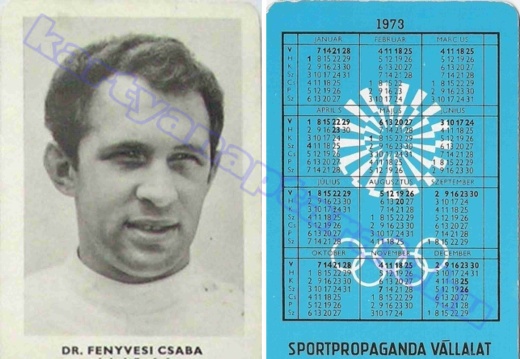 Fenyvesi Csaba