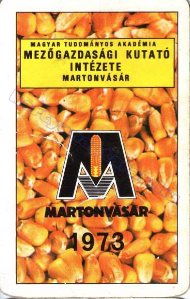 MAGYAR TUDOMÁNYOS AKADÉMIA MEZŐGAZDASÁGI KUTATÓ INTÉZETE MARTONVÁSÁR 1973 1973_0253.jpg