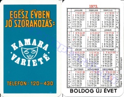 1973 0293