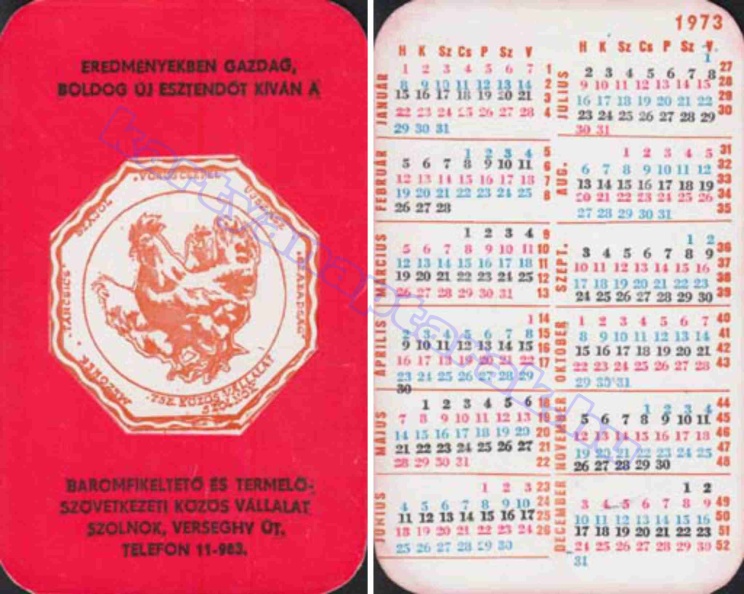 BUÉK A BAROMFIKELTETŐ ÉS TERMELŐSZÖVETKEZETI KÖZÖS VÁLLALAT SZOLNOK 1973_0503.jpg