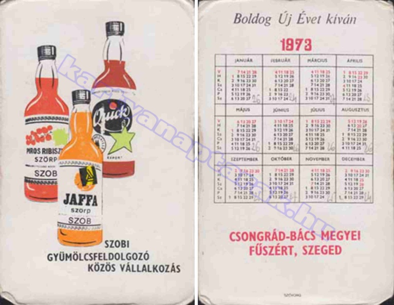 SZOBI GYÜMÖLCSFELDOLGOZÓ KÖZÖS VÁLLALKOZÁS 1973_0532.jpg