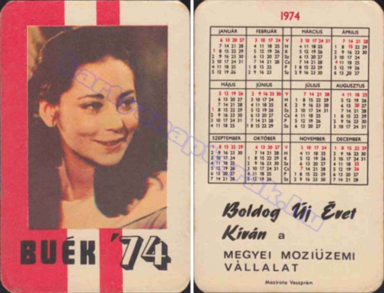 VENCEL VERA BUÉK A MEGYEI MOZIÜZEMI VÁLLALAT 1974_0575.jpg