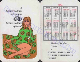 1974 0667