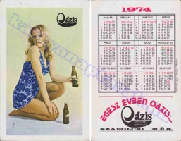1974 0668