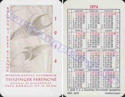 1974 0682