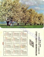 1975 0033