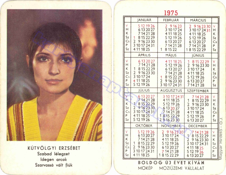 KÚTVÖLGYI ERZSÉBET SZABAD LÉLEGZET IDEGEN ARCOK SZARVASSÁ VÁLT FIÚK BUÉK MOKÉP MEGYEI MOZIÜZEMI VÁLLALAT 1975_0051.jpg
