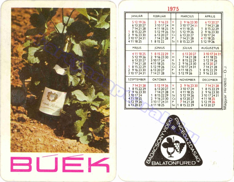BUÉK BADACSONYVIDÉKI PINCEGAZDASÁG BALATONFÜRED 1975_0085.jpg