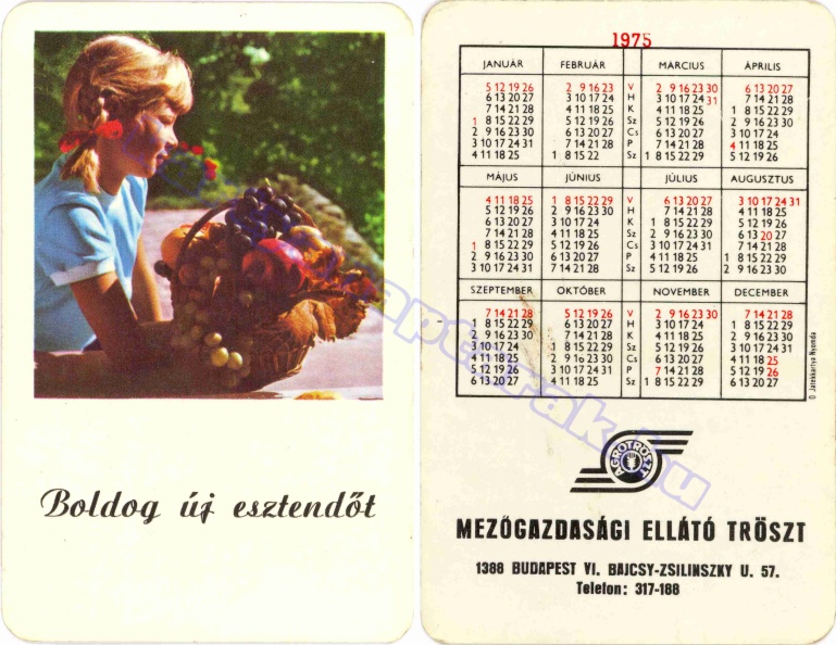BUÉK MEZŐGAZDASÁGI ELLÁTÓ TRÖSZT BUDAPEST AGROTRÖSZT 1975_0175.jpg
