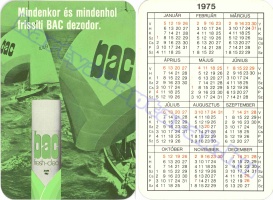 1975 0219