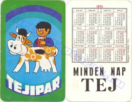 1975 0299