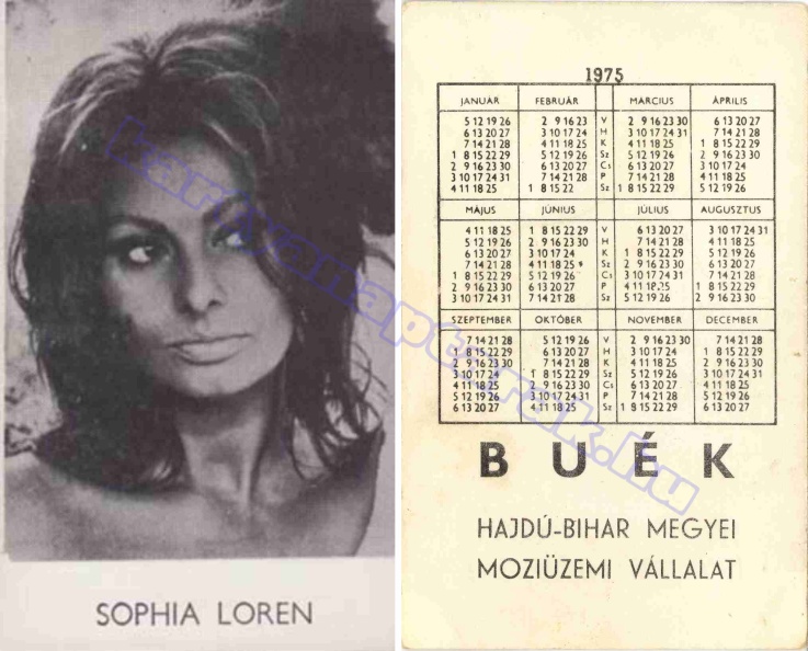 SOPHIA LOREN BUÉK HAJDÚ-BIHAR MEGYEI MOZIÜZEMI VÁLLALAT 1975_0533.jpg