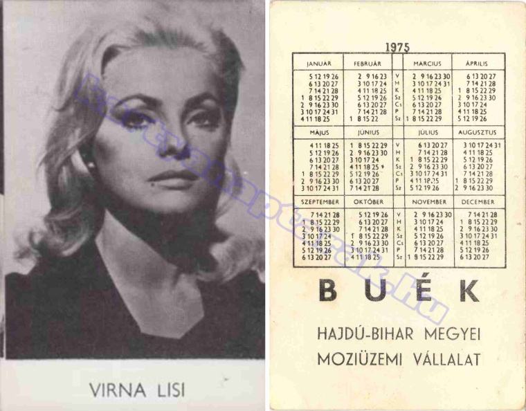 VIRNA LISI BUÉK HAJDÚ-BIHAR MEGYEI MOZIÜZEMI VÁLLALAT 1975_0536.jpg