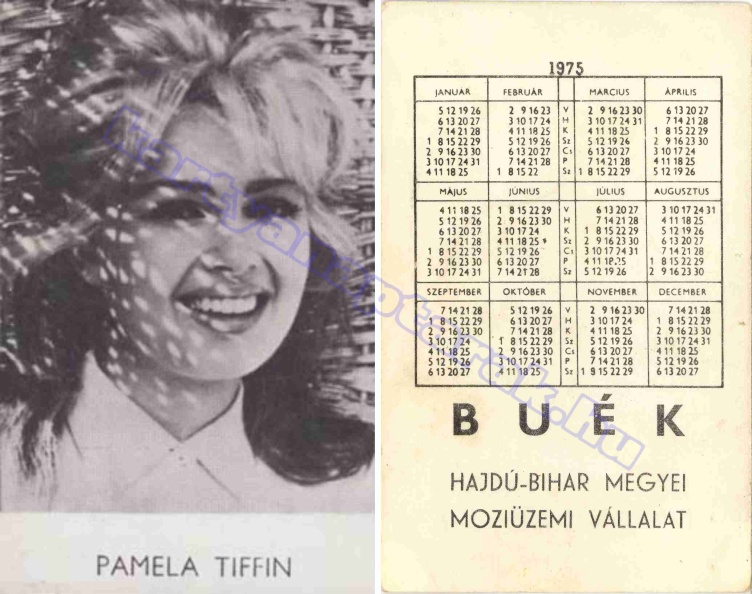 PAMELA TIFFIN BUÉK HAJDÚ-BIHAR MEGYEI MOZIÜZEMI VÁLLALAT 1975_0538.jpg