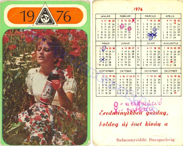 EREDMÉNYEKBEN GAZDAG BUÉK A BADACSONYVIDÉKI PINCEGAZDASÁG BALATONFÜRED 1976_0002.jpg