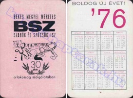 1976 0495