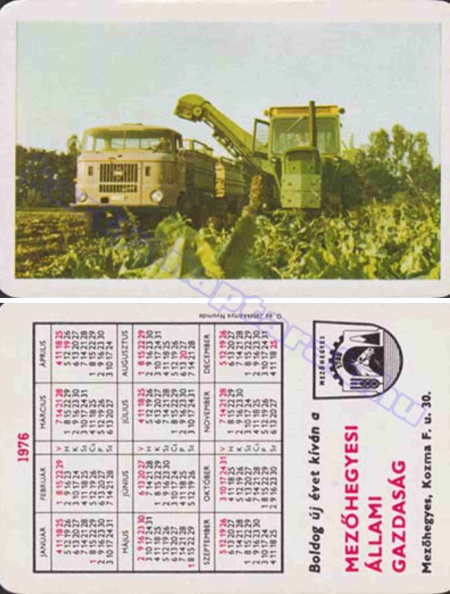BUÉK MEZŐHEGYESI ÁLLAMI GAZDASÁG 1976_0674.jpg