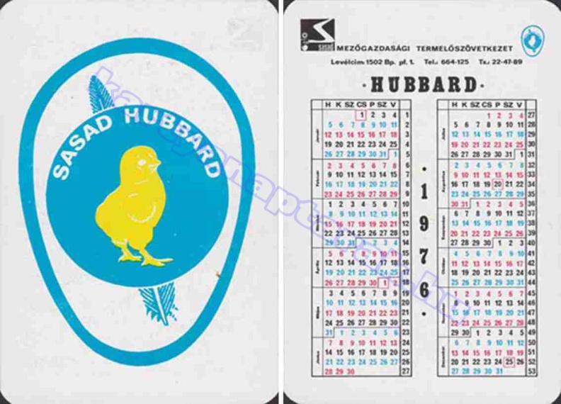 SASAD MEZŐGAZDASÁGI TERMELŐSZÖVETKEZET HUBBARD 1976_0912.jpg