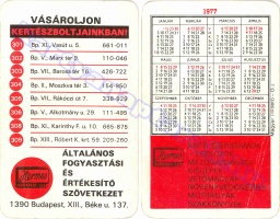 1977 0163