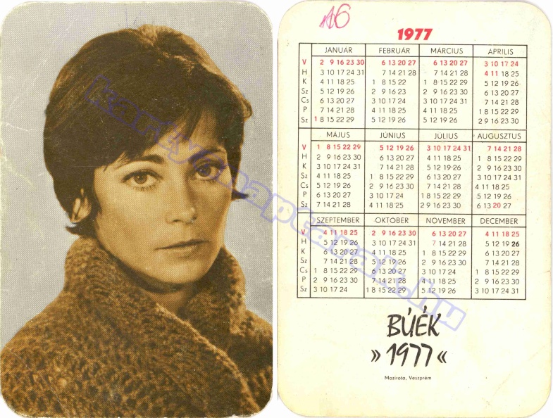 MOZIROTA VESZPRÉM 1977_0174.jpg