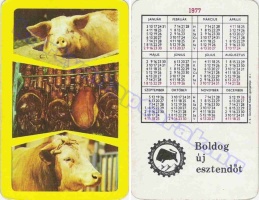 1977 0241