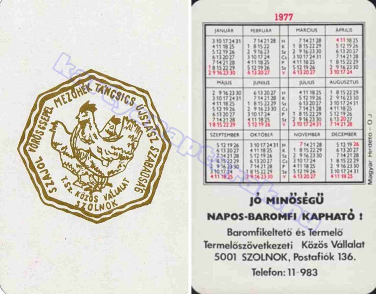 TSZ KÖZÖS VÁLLALATOK SZOLNOK SZAJOK VÖRÖS CSEPEL MEZŐHÉK TÁNCSICS ÚJSZÁSZ SZABADSÁG JÓ MINŐSÉGŰ NAPOS-BAROMFI KAPHATÓ! 1977_0367.jpg