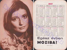 1977 0608