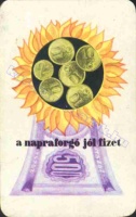 1977 0616