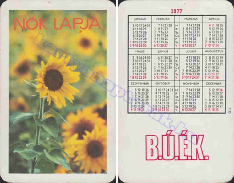NŐK LAPJA 1977_0621.jpg