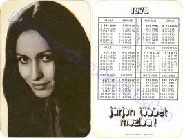 1978 0013