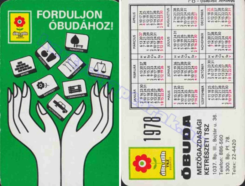 FORDULJON ÓBUDÁHOZ ÓBUDA MEZŐGAZDASÁGI KERTÉSZETI TSZ 1978_0927.jpg