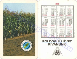1979 0207