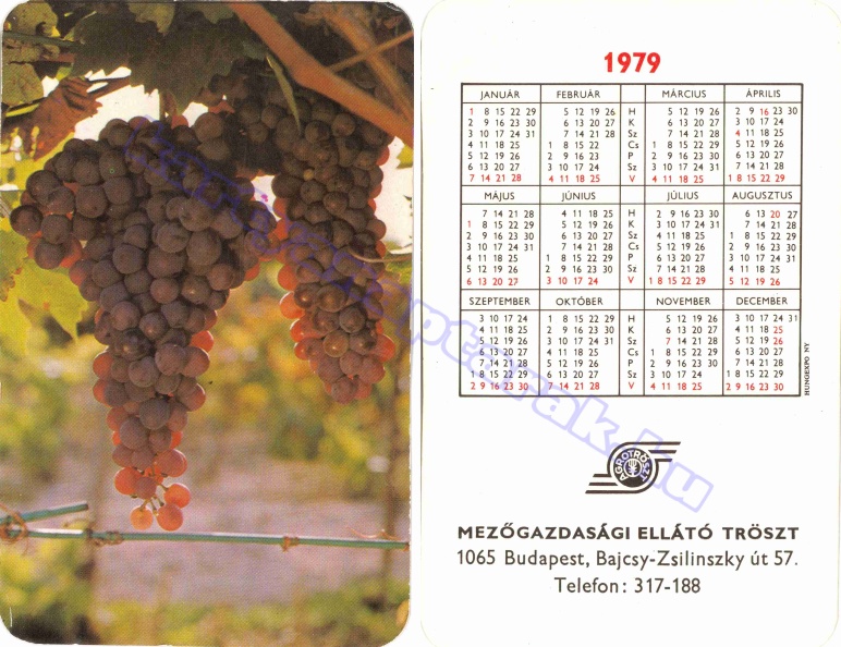 MEZŐGAZDASÁGI ELLÁTÓ TRÖSZT BUDAPEST AGROTRÖSZT 1979_0291.jpg