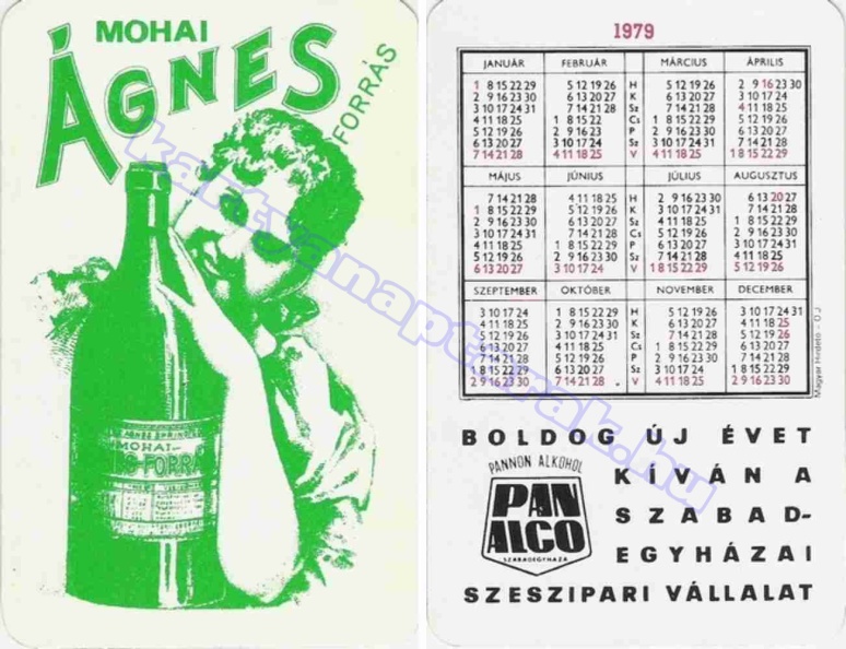 MOHAI ÁGNES FORRÁS BUÉK A SZABADEGYHÁZAI SZESZIPARI VÁLLALAT PANNON ALKOHOL PANALCO 1979_0404.jpg