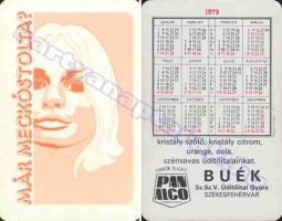 1979 0618