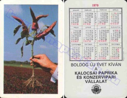 1979 0623
