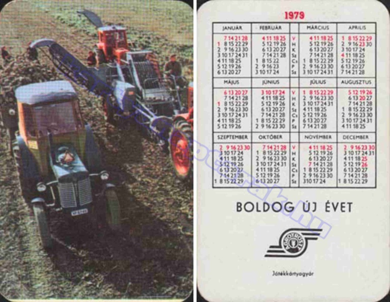 BUÉK AGROTRÖSZT 1979_0644.jpg