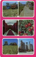 1980 0280