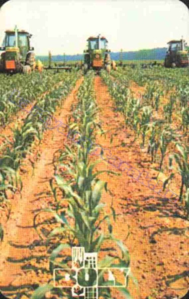 BÓLY 1980_0369.jpg