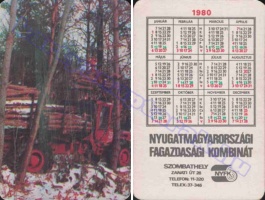 1980 0696